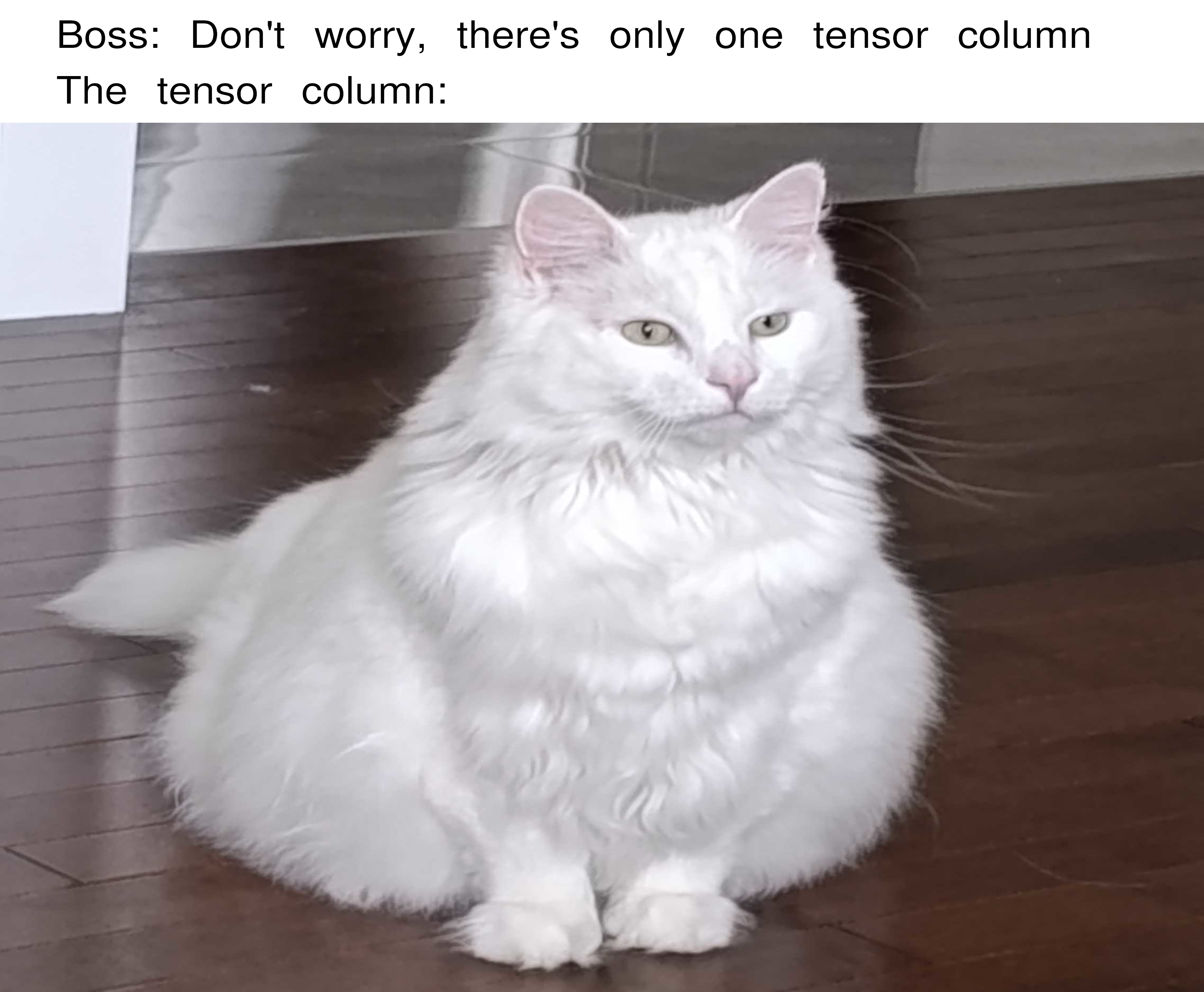 A very wide cat dominates the frame.  Caption line one "Boss: don't worry, there's only one tensor column" Caption line two "The tensor column:"